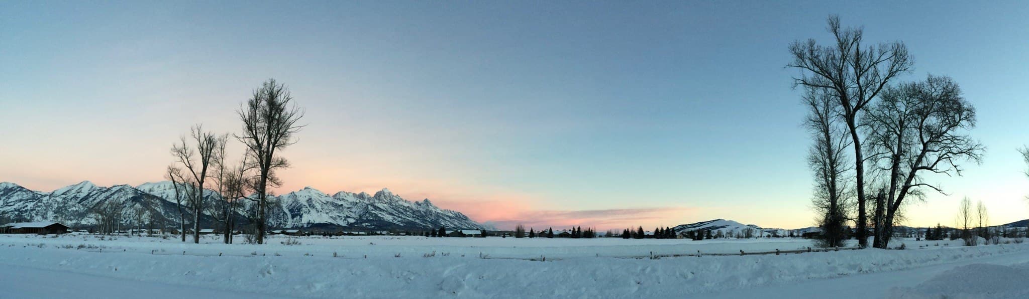A winter dawn over snow-covered fields and the Teton Range, framed by bare cottonwood trees
